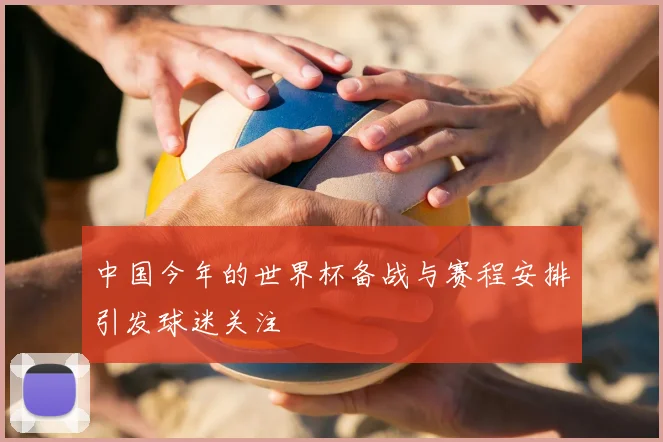 中国今年的世界杯备战与赛程安排引发球迷关注