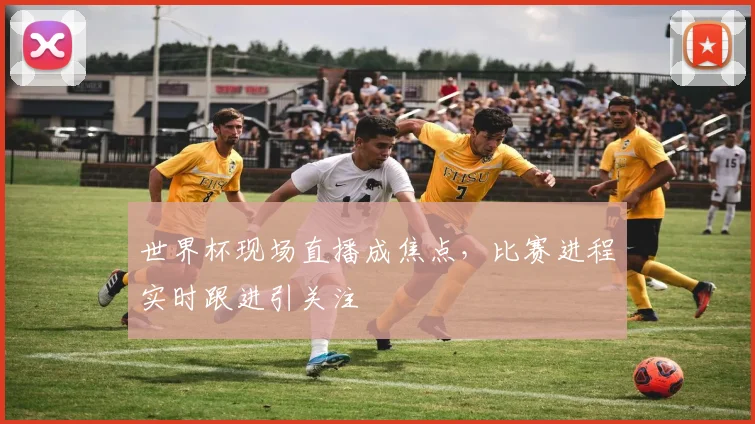 世界杯现场直播成焦点，比赛进程实时跟进引关注